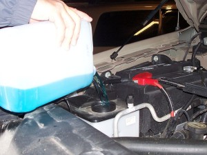 windshield washer fluid