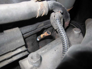 damaged spark plug wire