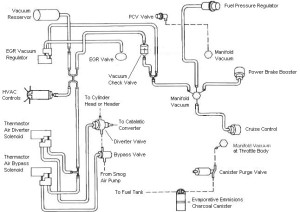 vacuum diagram